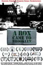 Watch A Box Came to Brooklyn Goojara