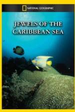 Watch National Geographic Jewels of the Caribbean Sea Goojara