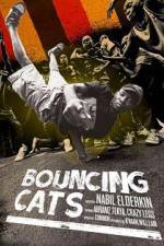 Watch Bouncing Cats Goojara