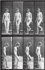 Watch Woman Walking Downstairs Goojara