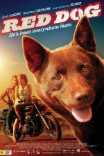 Watch Red Dog Goojara