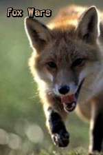 Watch Fox Wars Goojara