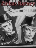 Watch Dual Alibi Goojara