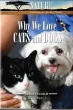 Watch Why We Love Cats And Dogs Goojara