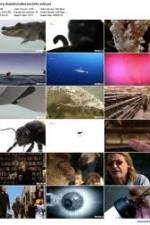 Watch History Channel Evolve: Sex Goojara