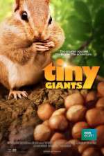 Watch Tiny Giants 3D Goojara