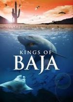 Watch Kings of Baja Goojara