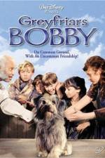 Watch Greyfriars Bobby The True Story of a Dog Goojara