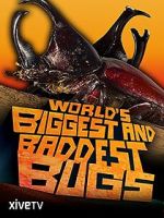 Watch World\'s Biggest and Baddest Bugs Goojara
