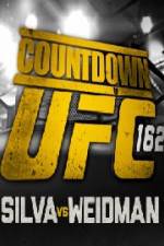 Watch Countdown To UFC 162 Goojara