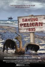 Watch Saving Pelican 895 (Short 2011) Goojara