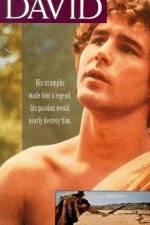 Watch The Story of David Goojara