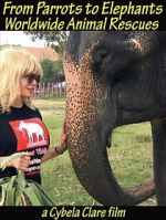 Watch From Parrots to Elephants: Worldwide Animal Rescues Goojara