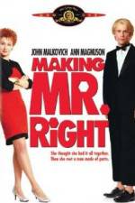Watch Making Mr. Right Goojara