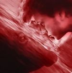 Watch We All Poop: All the Blood Goojara