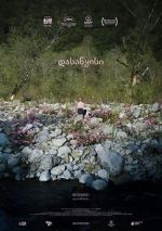 Watch Beginning Goojara