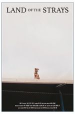 Watch Land of the Strays (Short 2018) Goojara