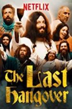 Watch The Last Hangover Goojara
