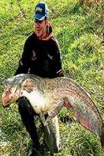 Watch Viking Expedition Goojara