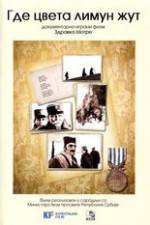 Watch Where the Yellow Lemon Blooms Goojara