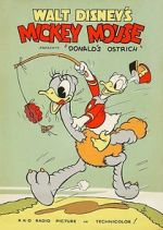 Watch Donald\'s Ostrich (Short 1937) Goojara