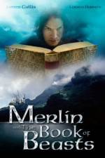 Watch Merlin and the Book of Beasts Goojara
