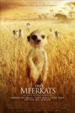 Watch The Meerkats Goojara