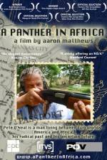 Watch A Panther in Africa Goojara