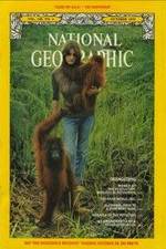 Watch Search for the Great Apes Goojara