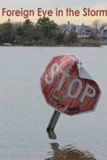 Watch Foreign Eye in the Storm Goojara