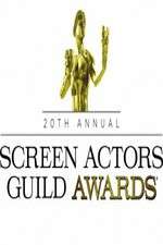 Watch The 20th Annual Screen Actors Guild Awards Goojara