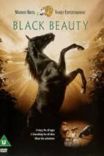 Watch Black Beauty Goojara