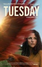 Watch Tuesday Goojara