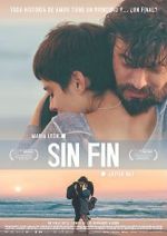Watch Sin fin Goojara