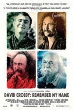 Watch David Crosby: Remember My Name Goojara
