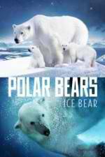 Watch Polar Bears Ice Bear Goojara