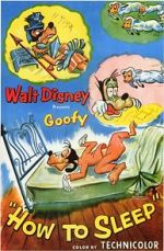 Watch How to Sleep Goojara