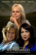 Watch We Promised Goojara