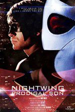 Watch Nightwing Prodigal Son Goojara