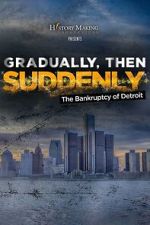 Watch Gradually, Then Suddenly: The Bankruptcy of Detroit Goojara
