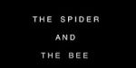 Watch The Spider and the Bee Goojara