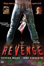 Watch Revenge Goojara