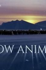 Watch Snow Animals Goojara