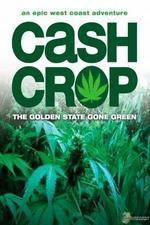 Watch Cash Crop Goojara