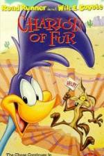 Watch Ready Woolen and Able Goojara