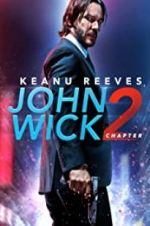 Watch John Wick Chapter 2: Wick-vizzed Goojara