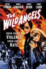 Watch The Wild Angels Goojara