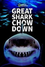Watch Great Shark Chow Down Goojara