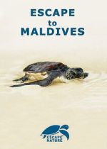 Watch Escape to Maldives Goojara
