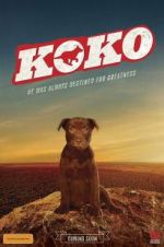 Watch Koko: A Red Dog Story Goojara